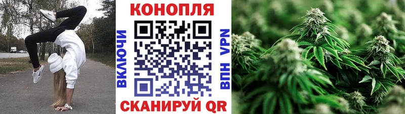 Бошки марихуана гибрид  Котельниково 